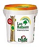 FRUNOL DELICIA® Etisso® LacBalsam Wundverschluss, 1 kg